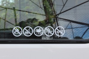 Cameron Highlands-043